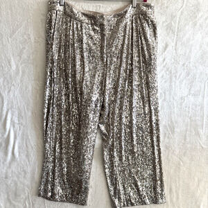 Express Silver Sequin Straight Leg Pants